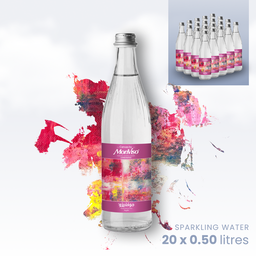 0.50L x 20 Canvas by MonViso Sparkling Natural Mineral Water