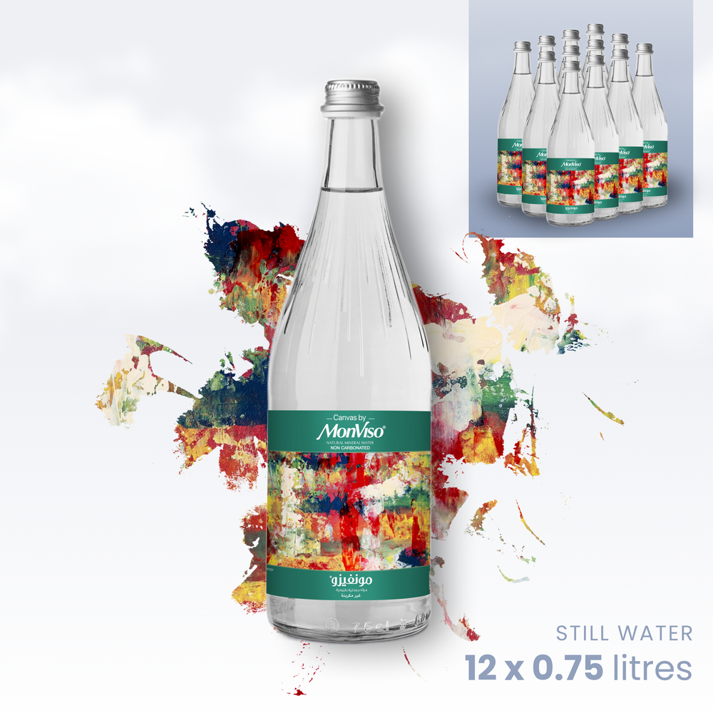 0.75L x 12 Canvas by MonViso Still Natural Mineral Water