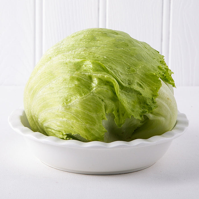 Iceberg Lettuce