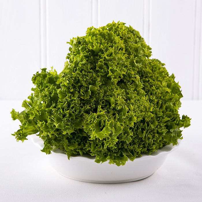 Lollo Bionde Lettuce