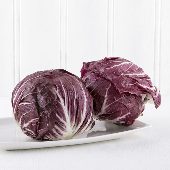 Red Lettuce