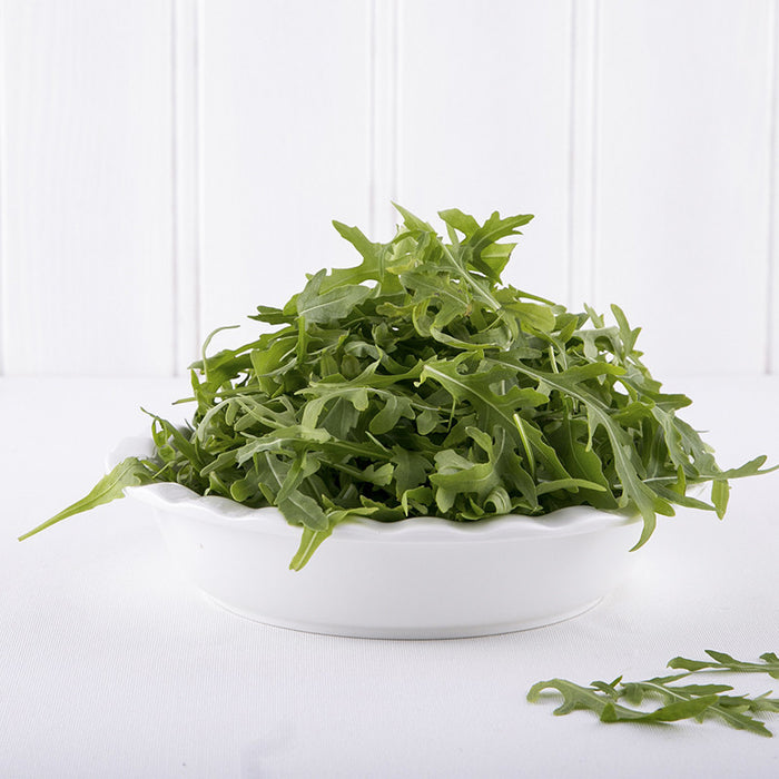 Rucola Lettuce