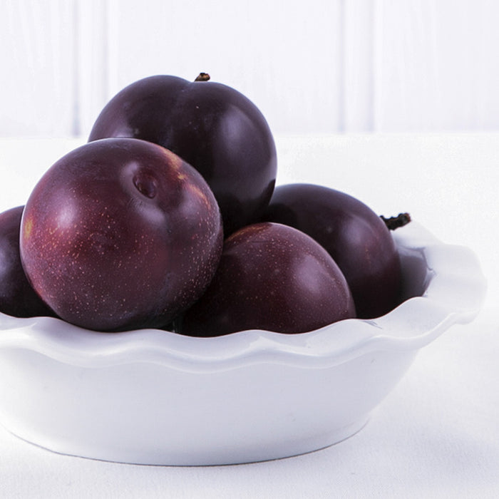 Black Plum