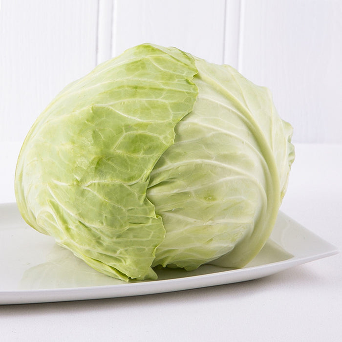 White Cabbage