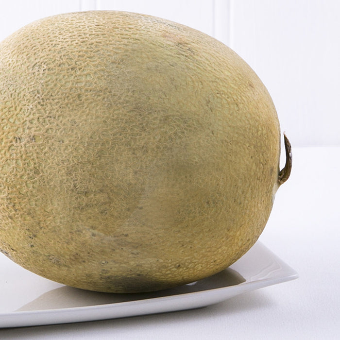 Rock Melon