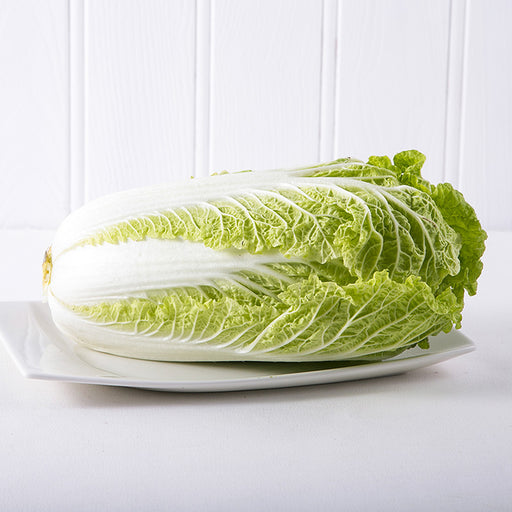 Chinese Cabbage