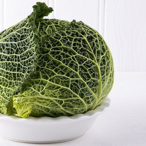 Savoy Cabbage