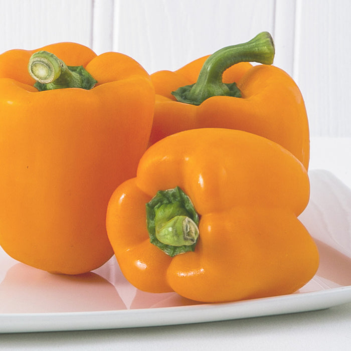 Orange Capsicums