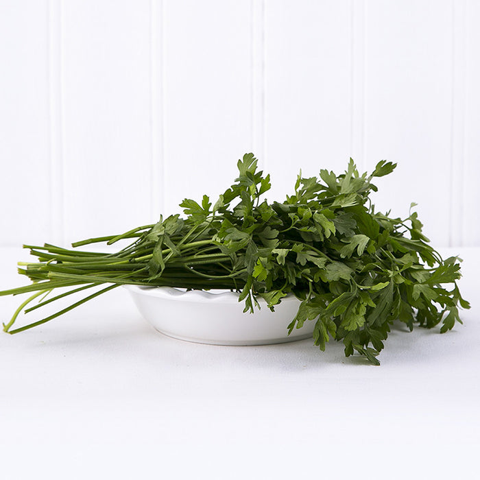 Parsley Bunch