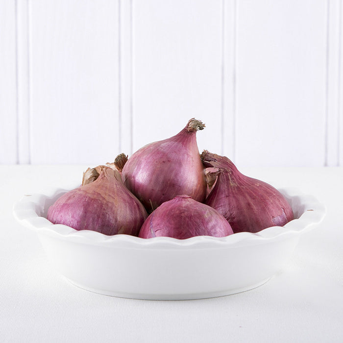 Red Onion