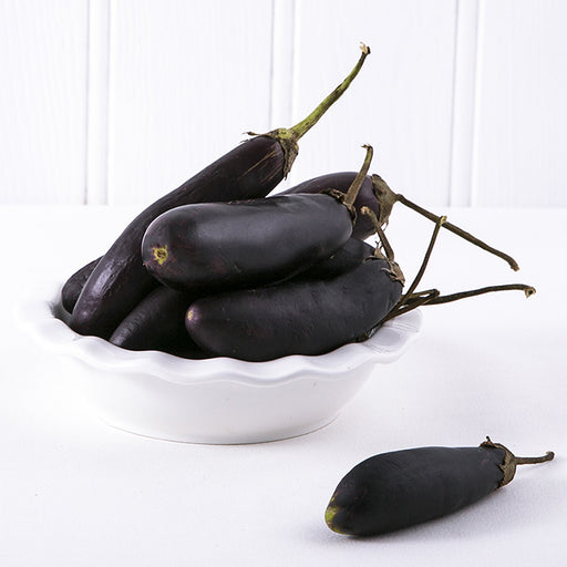 Long Eggplant