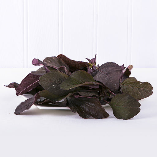 Red Spinach