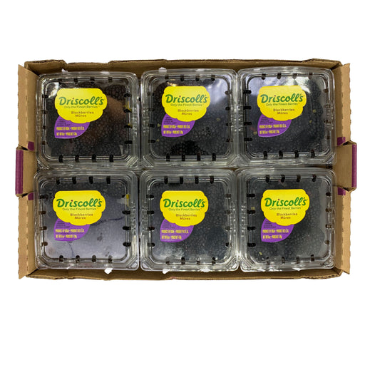 Blackberries 170gm x 12