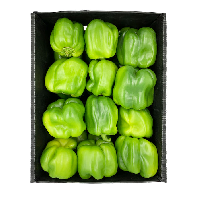 Capsicum Green 6kg