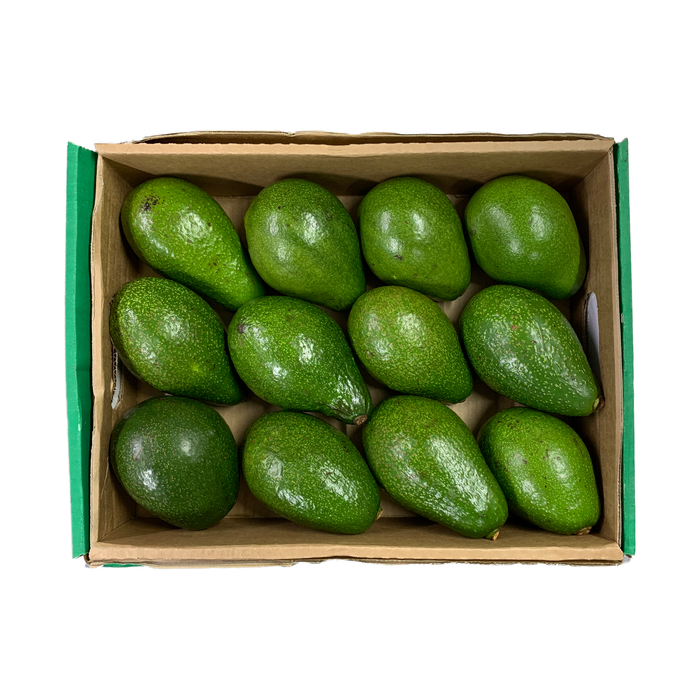 Avocado Kenya  3.6kg