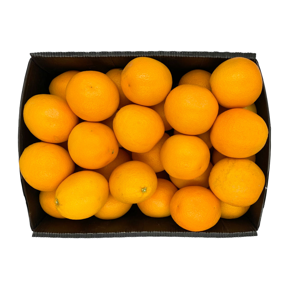 Orange Valencia 15Kg Egypt